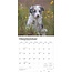 Calendario Border Collie 2025