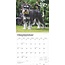 Schnauzer Calendar 2025