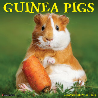 Willow Creek Guinea pig calendar 2025