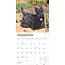 Schotse Terrier Kalender 2025