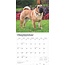 Shar Pei Kalender 2025