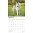 Calendrier Husky Sibérien 2025