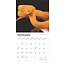 Calendrier des serpents 2025