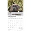 Staffordshire Bull Terrier Cachorros Calendario 2025