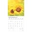 Calendario dei girasoli 2025