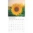 Calendario dei girasoli 2025