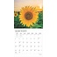 Sonnenblumen Kalender 2025