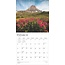 Tranquility Calendar 2025