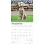 Weimaraner Kalender 2025