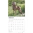 Calendario Weimaraner 2025