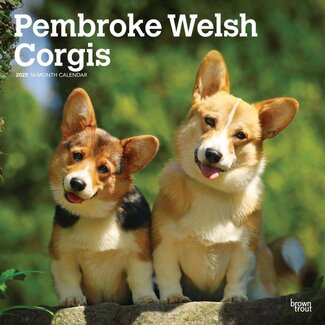 Browntrout Welsh Corgi Pembroke Kalender 2025