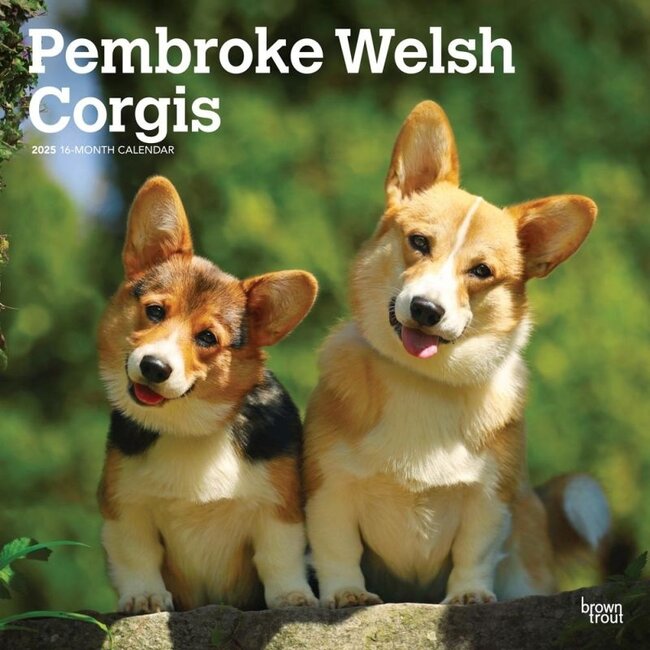 Welsh Corgi Pembroke Calendario 2025