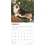 Welsh Corgi Pembroke Calendario 2025