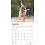 Softcoated Wheaten Terrier Calendario 2025