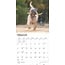 Softcoated Wheaten Terrier Calendrier 2025