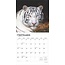 White Tiger Kalender 2025