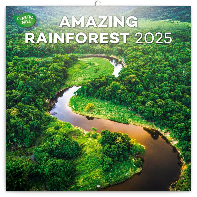 Amazing Rainforest Calendar 2025