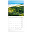 Amazing Rainforest Kalender 2025