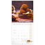 Chocolate Kalender 2025