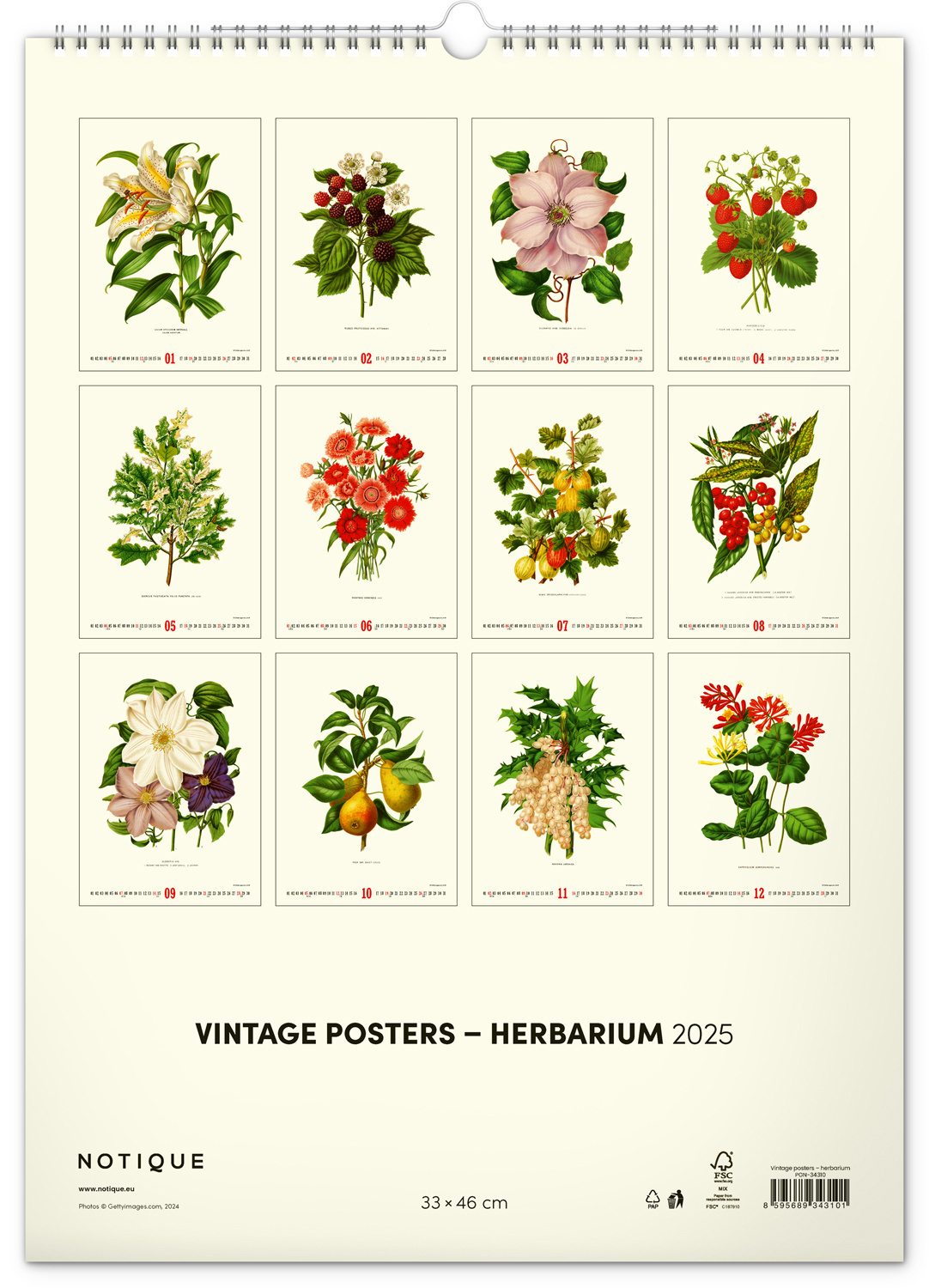 Vintage Posters Buy Herbarium Calendar 2025? Order easily