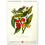 Vintage-Poster - Herbarium-Kalender 2025