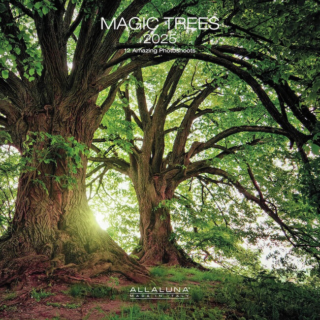 Allaluna Calendario degli alberi magici 2025
