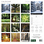 Magic Trees Kalender 2025