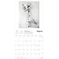 Classic Ballet Calendar 2025