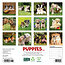 Puppies Calendar 2025 Mini