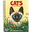 Katzen von Gary Patterson Agenda 2025