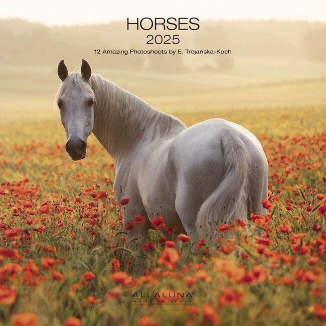 Paarden Kalender 2025