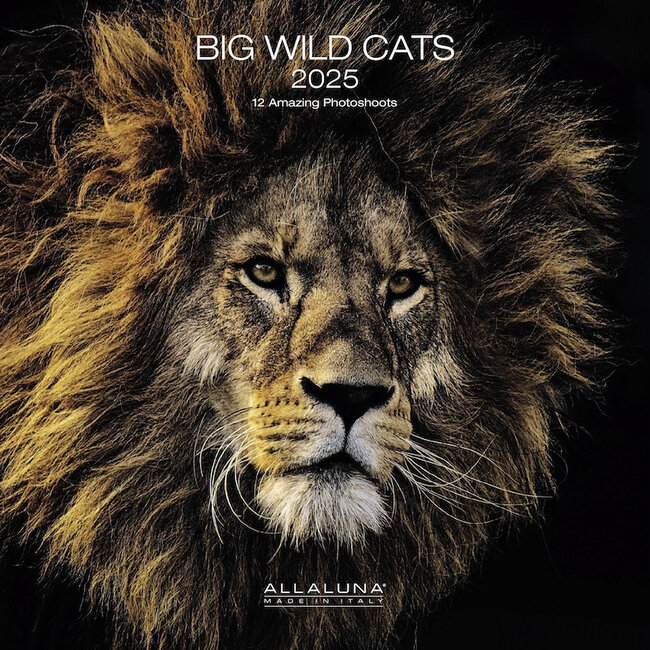 Allaluna Big Wild Cats Kalender 2025
