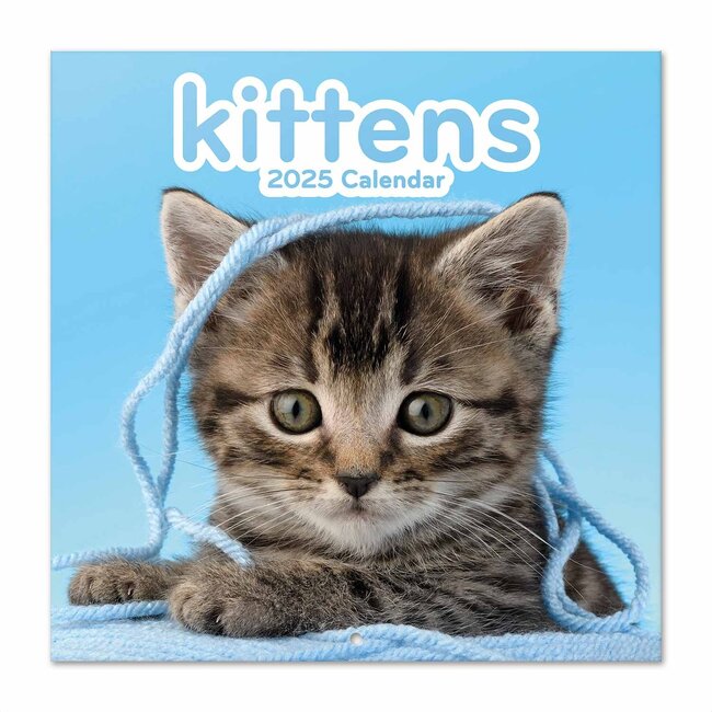 Grupo Kittens Kalender 2025