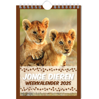 Inter-Stat Calendario semanal Young Animals 2025