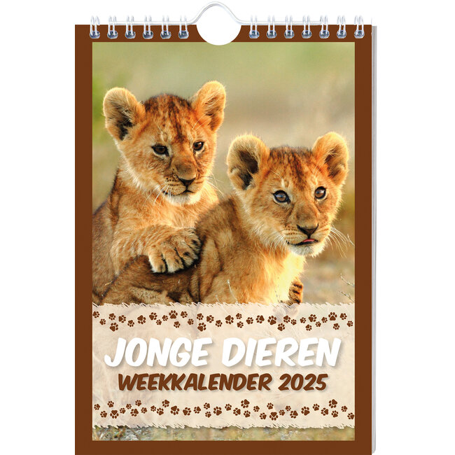 Calendario semanal Young Animals 2025