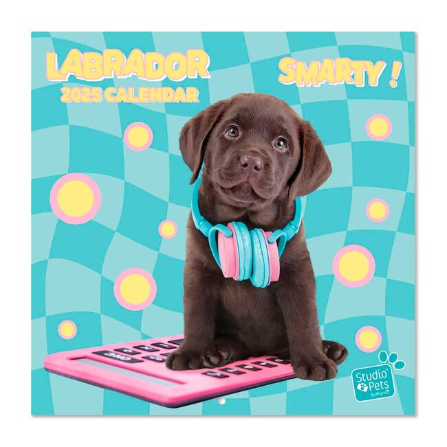 Labrador-Kalender 2025