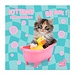 Grupo Kittens Kalender 2025