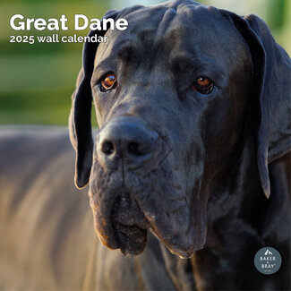 Baker & Bray Great Dane Calendar 2025