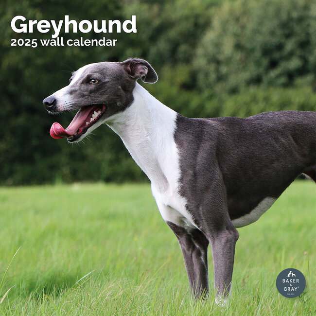 Greyhound Kalender 2025