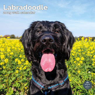 Baker & Bray Calendario Labradoodle 2025