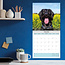 Calendario Labradoodle 2025