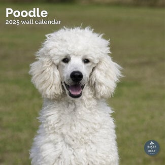 Baker & Bray Poodle Calendar 2025