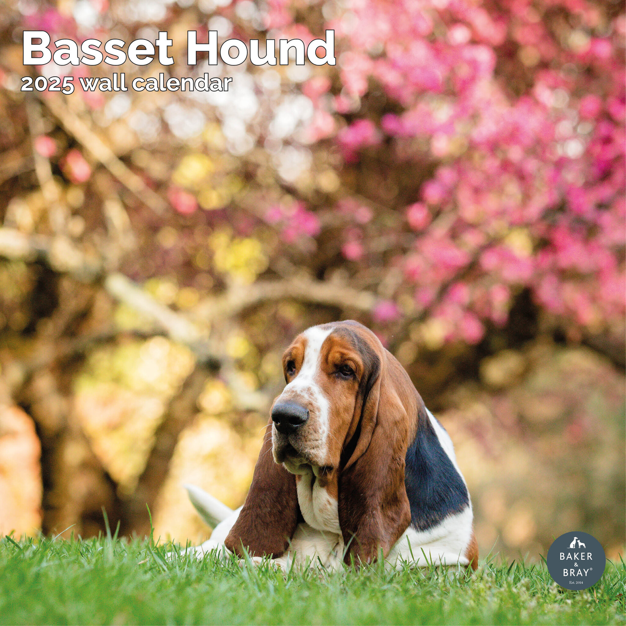 Buy Basset Hound Calendar 2025 Order Easily And Quickly Online Basset Hound Calendar 2025