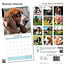 Calendario Basset Hound 2025