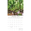 Jungles Kalender 2025