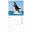 Calendario WWF Oceani 2025