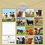 Cows Calendar 2025