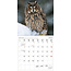 Owls Calendar 2025