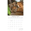 Tiger Calendar 2025