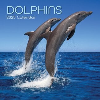The Gifted Stationary Calendario dei delfini 2025